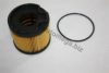 AUTOMEGA 3019060A1 Fuel filter
